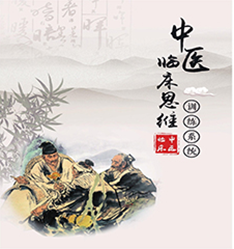 HYZY-LCSW中医临床思维训练系统