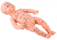 HYET-X 小儿推拿模型	