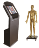 HYZY-42TG多媒体人体针灸穴交互数字平台（铜人）		